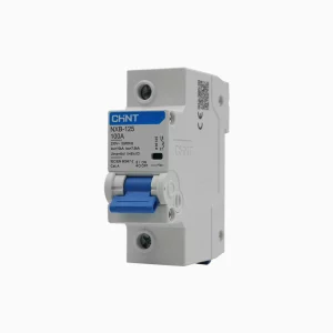 INTERRUPTOR 1P 100A 10KA CURVA C, NXB-125H