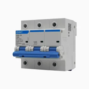 INTERRUPTOR 3P 100 10KA CURVA C, NXB-125H